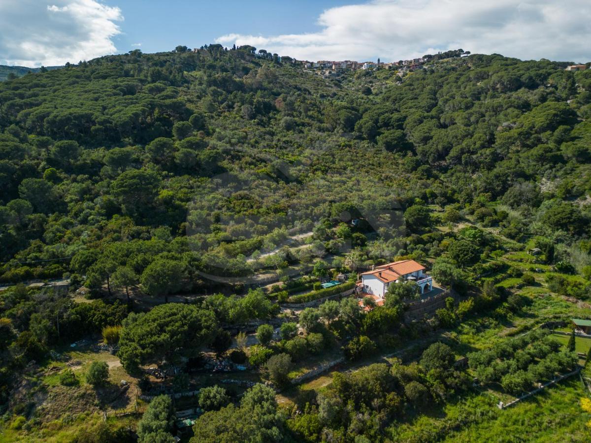 La Palazzina Nel Verde - Goelba Casa Alzi Exterior foto